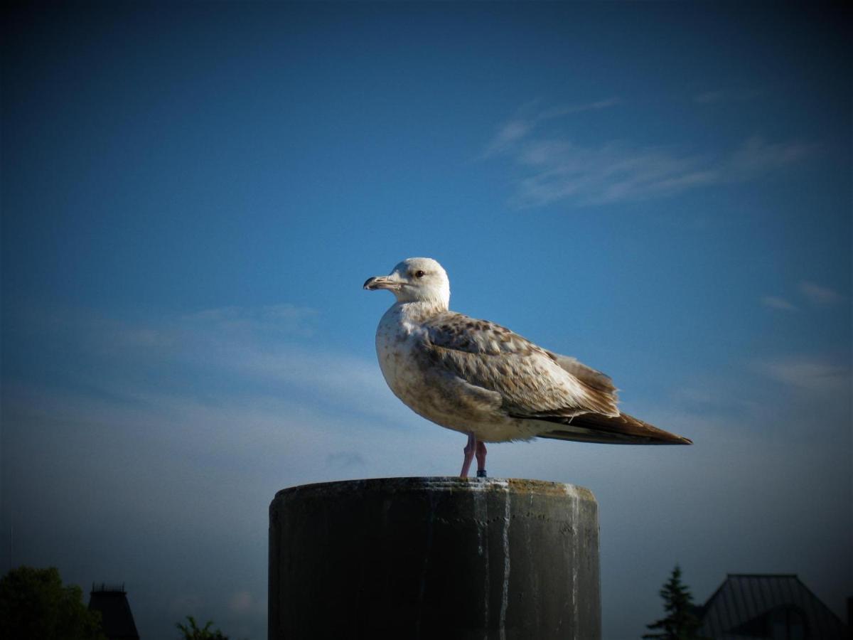 Skipper Appartements Niendorf  Dış mekan fotoğraf